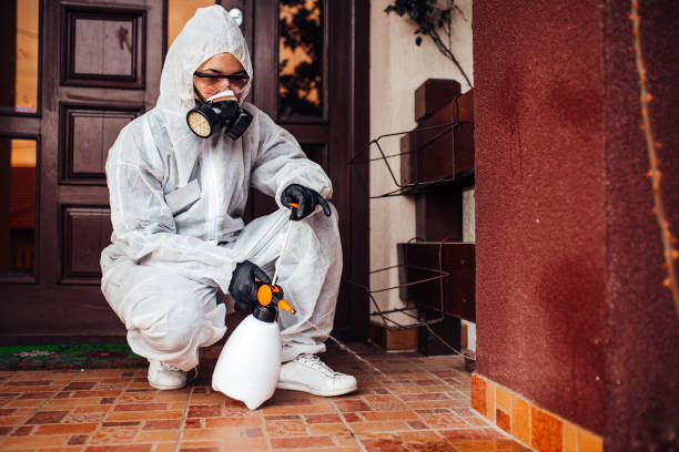 Reliable Cockroach Control contractor in Anthony, NM by Nex Pest Control